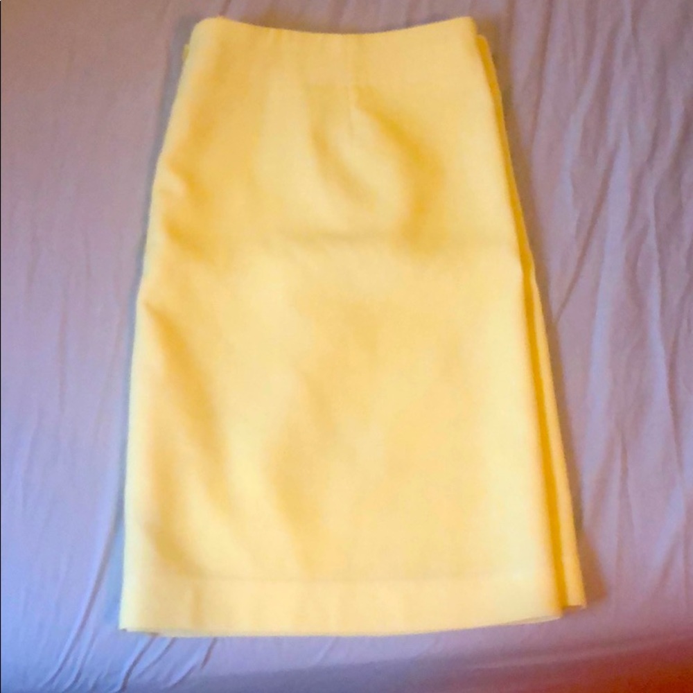 Loft Work Skirt
